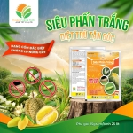 SIÊU PHẤN TRẮNG 35WG