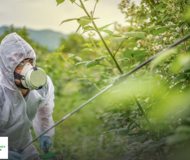 CÁCH SỬ DỤNG THUỐC TRỪ BỆNH ĐÚNG CÁCH