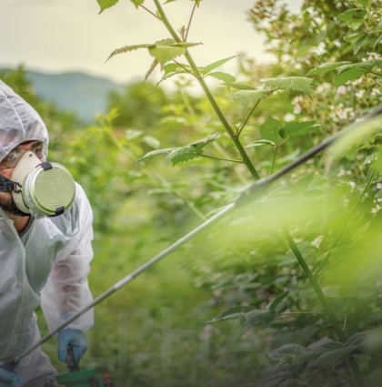 CÁCH SỬ DỤNG THUỐC TRỪ BỆNH ĐÚNG CÁCH