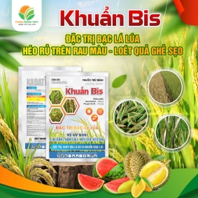 KHUẨN BIS 300WP